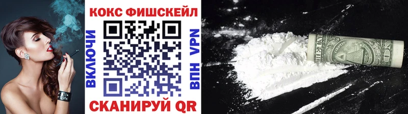 Cocaine FishScale  mega зеркало  Питкяранта 