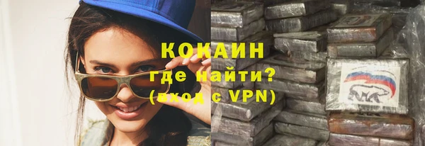 шишки Абаза
