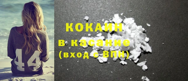 шишки Абаза
