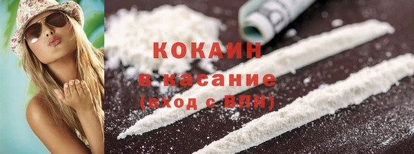 шишки Абаза