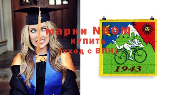 шишки Абаза